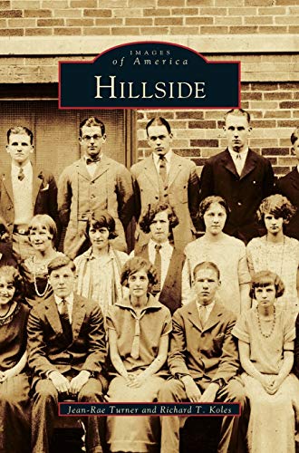 Imagen de archivo de Hillside a la venta por Lakeside Books
