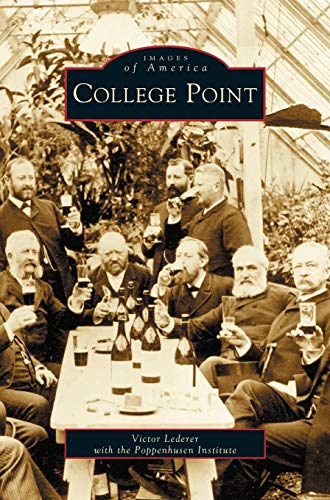 Stock image for College Point for sale by Lakeside Books