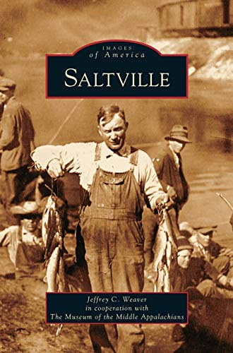 Stock image for Saltville for sale by Lakeside Books