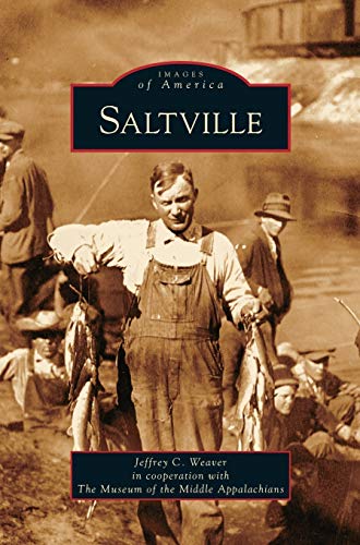 Saltville (Hardback) - Jeffrey C Weaver