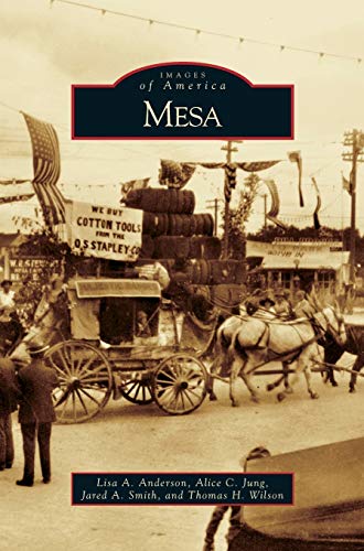 Stock image for Mesa for sale by Lakeside Books