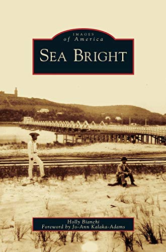 Beispielbild fr Sea Bright zum Verkauf von Lakeside Books