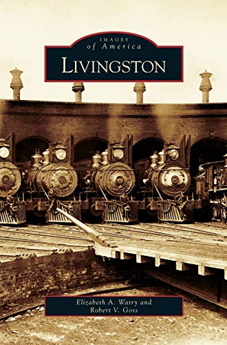 Imagen de archivo de Livingston a la venta por Lakeside Books