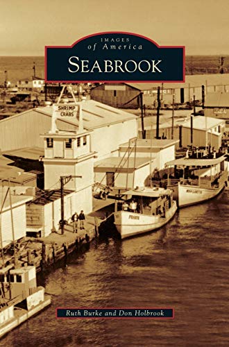 Stock image for Seabrook for sale by ThriftBooks-Dallas