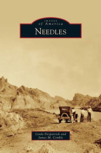 9781531653361: Needles