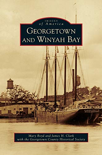 Stock image for Georgetown and Winyah Bay for sale by Lakeside Books