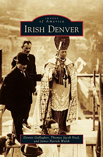 Imagen de archivo de Irish Denver a la venta por Lakeside Books