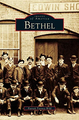 Stock image for Bethel for sale by Lakeside Books