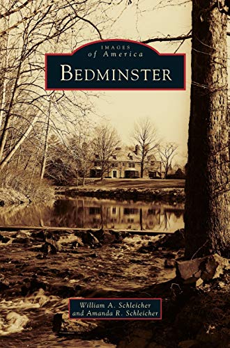 Stock image for Bedminster for sale by WorldofBooks