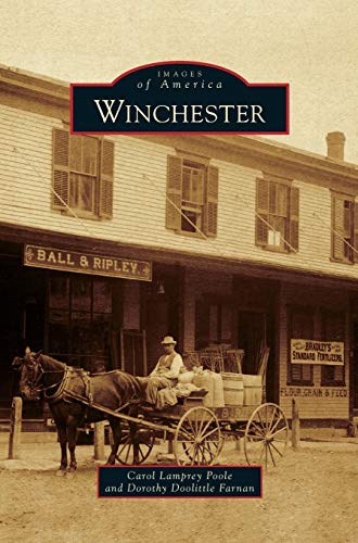 Stock image for Winchester for sale by Lakeside Books