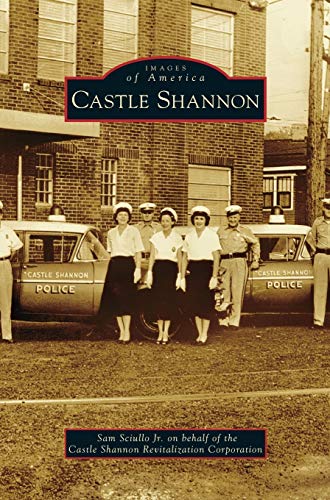 Stock image for Castle Shannon for sale by Lakeside Books
