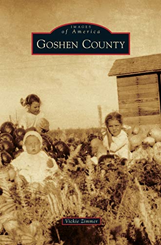 Stock image for Goshen County for sale by Lakeside Books