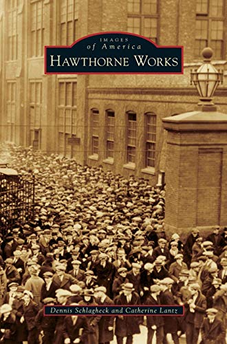 Imagen de archivo de Hawthorne Works a la venta por Russell Books