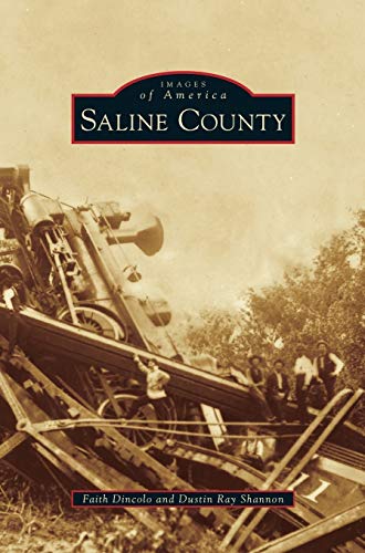 Imagen de archivo de Saline County a la venta por Lakeside Books