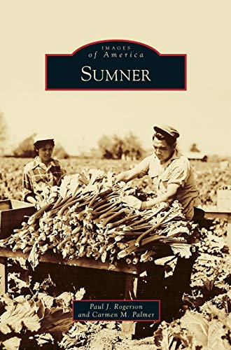 Stock image for Sumner for sale by Lakeside Books