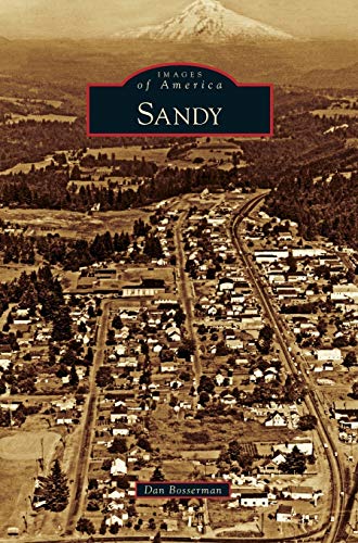 Imagen de archivo de Sandy a la venta por Lakeside Books