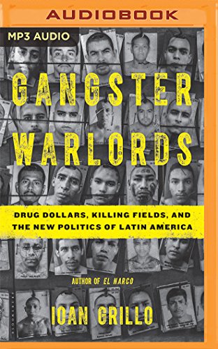 Stock image for Gangster Warlords: Drug Dollars, Killing Fields, and the New Politics of Latin America for sale by Revaluation Books