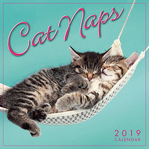 Imagen de archivo de Cat Naps 2019 Mini Calendar a la venta por Wonder Book