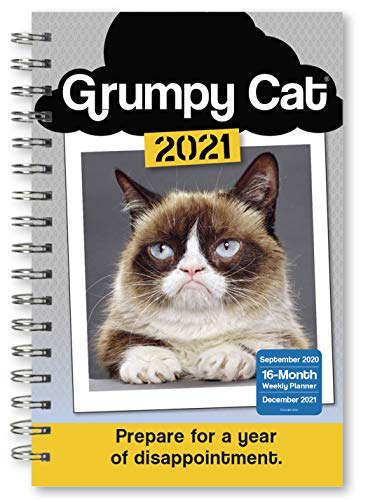 Beispielbild fr 2021 Grumpy Cat? 16-Month Weekly Planner zum Verkauf von SecondSale