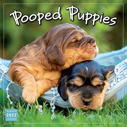 Beispielbild fr Pooped Puppies 2022 Calendar zum Verkauf von medimops