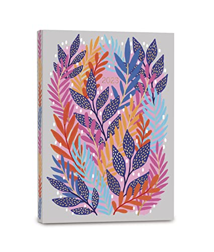 9781531914608: 2023 JESS PHOENIX WEEKLY SOFTCOVER PLANN (SOFTCOVER PLANNER)