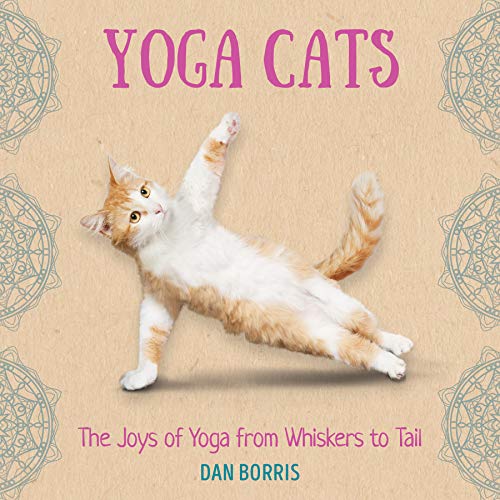 Stock image for Yoga Cats: A Humorous Gift Book for Cat and Yoga Lovers for sale by SecondSale