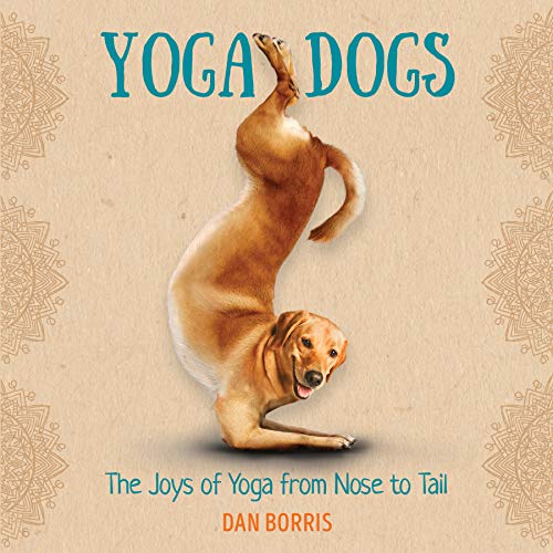 Stock image for Yoga Dogs: A Humorous Gift Book for Dog and Yoga Lovers for sale by SecondSale