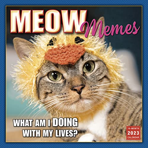 Stock image for MEOW MEMES for sale by Blackwell's
