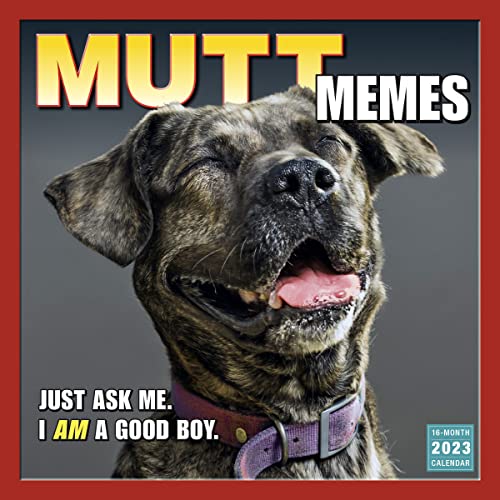 Stock image for MUTT MEMES for sale by Blackwell's