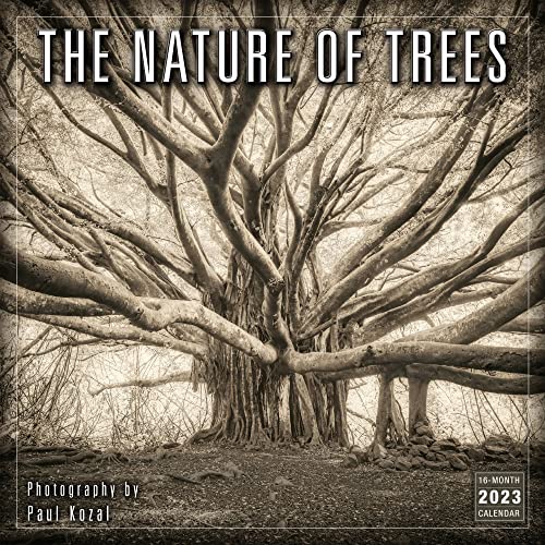 Beispielbild fr Nature of Trees zum Verkauf von GreatBookPrices