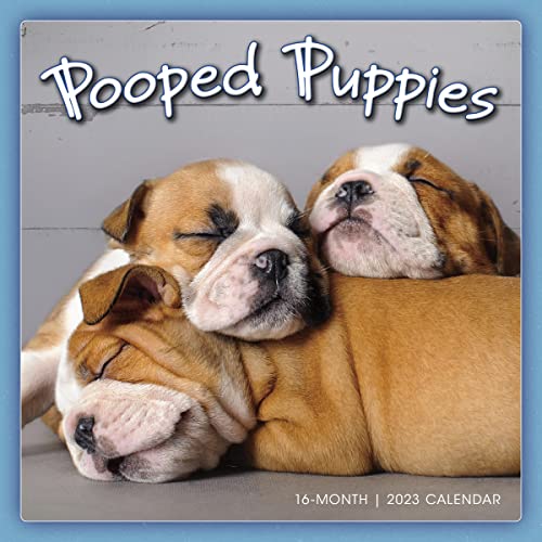 Stock image for POOPED PUPPIES for sale by Blackwell's