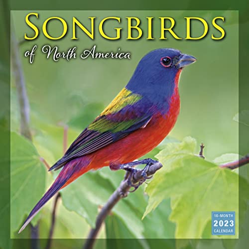 Stock image for SONGBIRDS OF NORTH AMERICA for sale by Blackwell's