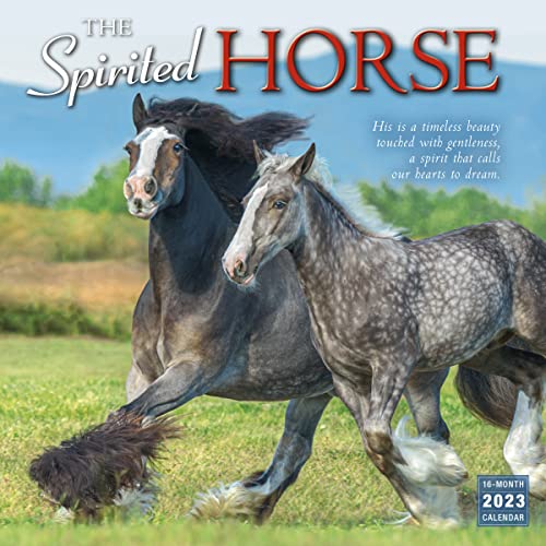 Stock image for SPIRITED HORSE THE for sale by Blackwell's
