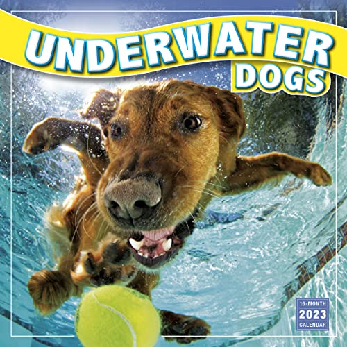 Imagen de archivo de Underwater Dogs 2023 Wall Calendar, 16-Month Animal Calendar, 12" x 12" a la venta por London Bridge Books