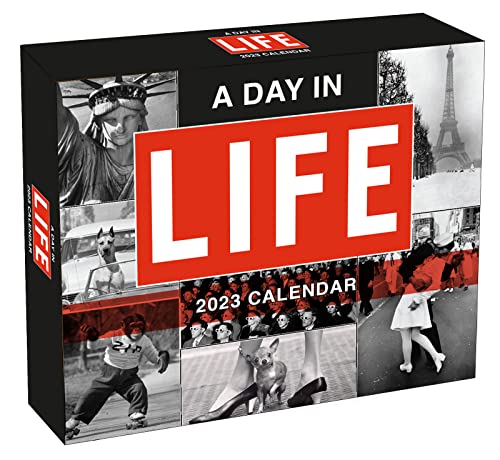 Stock image for DAY IN LIFE A for sale by Blackwell's