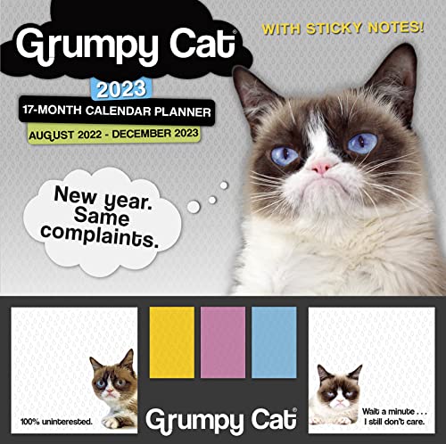 9781531917456: Grumpy Cat August 2022-December 2023 17-Month Planner