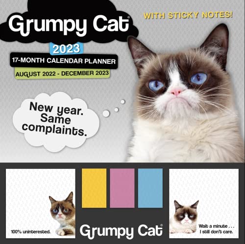 9781531917456: Grumpy Cat August 2022-December 2023 17-Month Planner: It’s All Downhill from Here. (STICKY NOTE PLANNER)