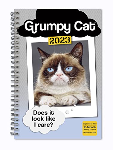 9781531917517: Grumpy Cat September 2022-December 2023 Weekly Planner