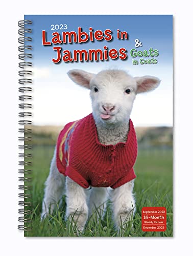 Stock image for 2023 Weekly & Monthly Planner, 16-Month Engagement Calendar: September 2022 - December 2023, 6" x 9" - Lambies in Jammies & Goats in Coats for sale by BooksRun