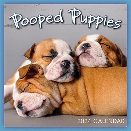 Beispielbild fr Pooped Puppies 2024 Mini Calendar, 7" x 7" zum Verkauf von Better World Books