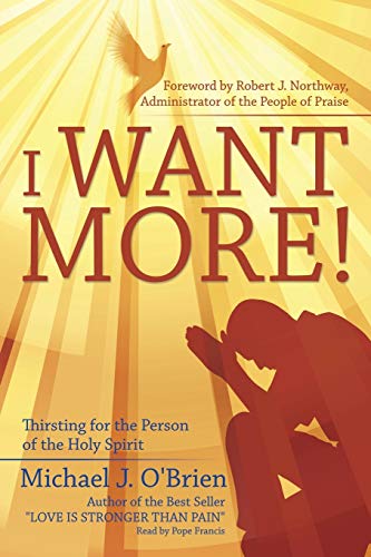 Stock image for I Want More!: Thirsting for the Person of the Holy Spirit for sale by THE SAINT BOOKSTORE