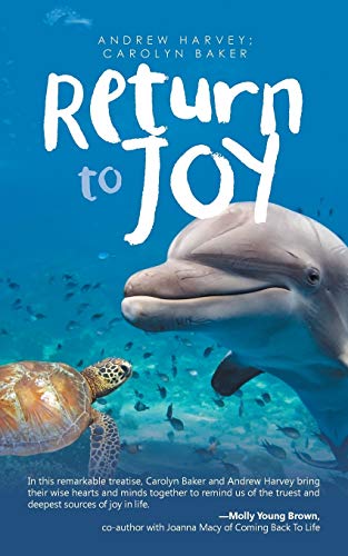 Beispielbild fr Return to Joy zum Verkauf von Better World Books