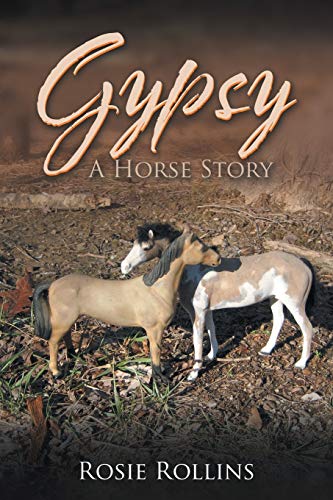 Imagen de archivo de Gypsy: A Horse Story a la venta por Chiron Media