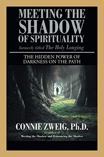 Stock image for Meeting the Shadow of Spirituality : The Hidden Power of Darkness on the Path for sale by Better World Books