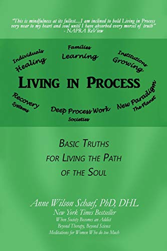 9781532030529: Living in Process: Basic Truths for Living the Path of the Soul