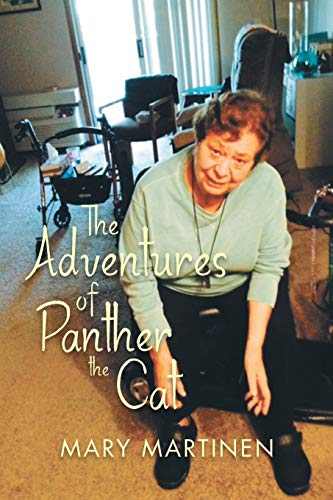 Beispielbild fr The Adventures of Panther the Cat: Pet Visits zum Verkauf von Lucky's Textbooks