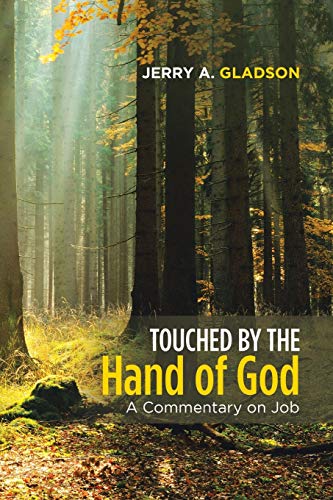 Stock image for Touched by the Hand of God: A Commentary on Job for sale by Lucky's Textbooks