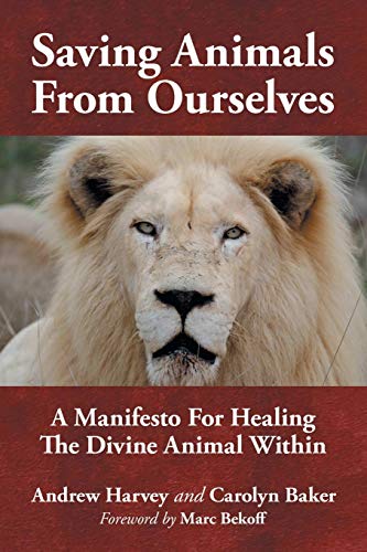 Imagen de archivo de Saving Animals from Ourselves : A Manifesto for Healing the Divine Animal Within a la venta por Better World Books: West