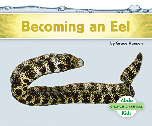 Imagen de archivo de Becoming an Eel a la venta por Better World Books