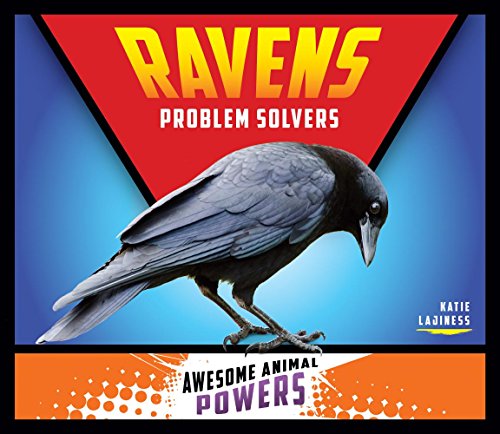 Stock image for Ravens : Problem Solvers for sale by Better World Books: West